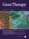 Development of operational immunologic tolerance with neonatal gene transfer in nonhuman primates: preliminary studies