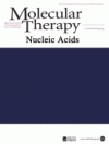 Investigating the functionality of an OCT4-short response element in human induced pluripotent stem cells