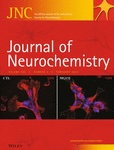 Guanidinoacetate (GAA) is a potent GABAA receptor GABA mimetic: Implications for neurological disease pathology