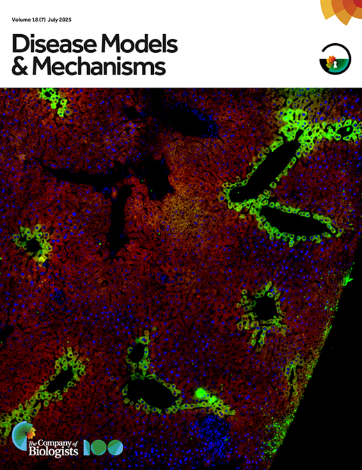 A hypomorphic model of CPS1 deficiency for investigating the effects of hyperammonemia on the developing nervous system